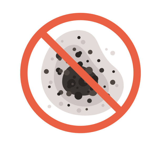Best Mold Documentation for Insurance Claims  in Aberdeen, NC