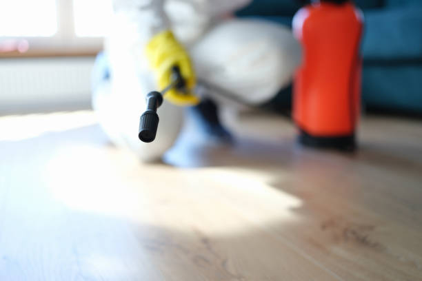 Best Air Quality Testing for Mold Spores  in Aberdeen, NC