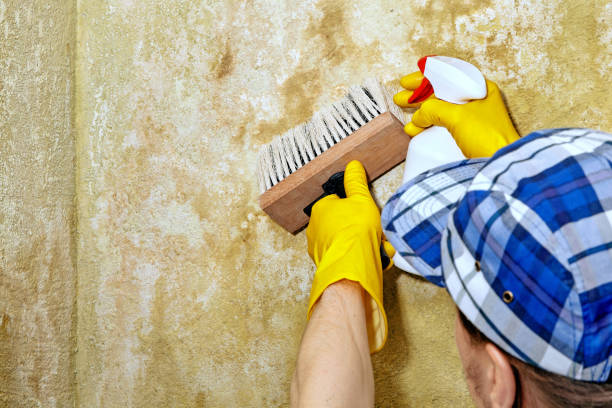 Best Mold Prevention Services  in Aberdeen, NC