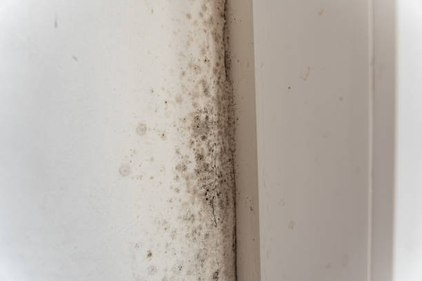 Best Forensic Mold Investigation  in Aberdeen, NC