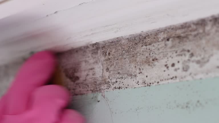 Best Airborne Mold Testing  in Aberdeen, NC